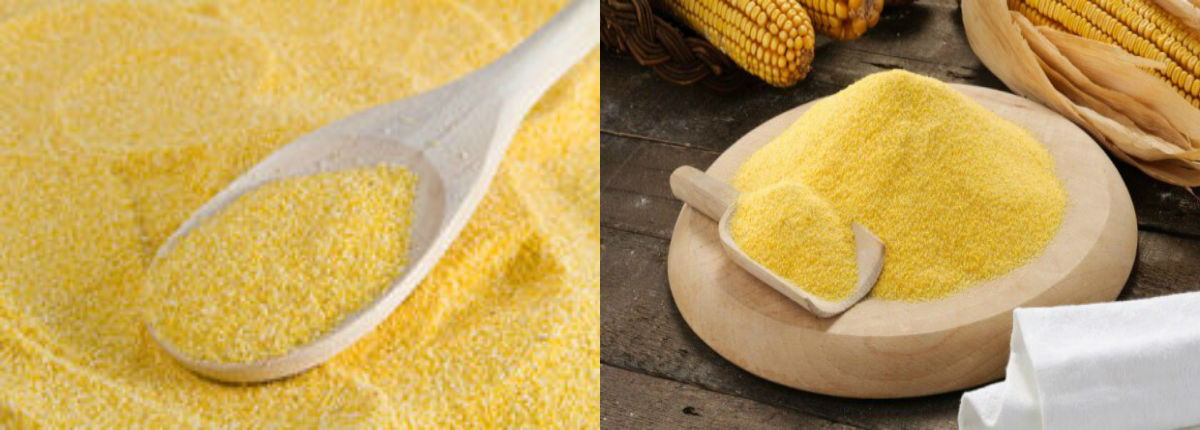 LE BLÉ DANS L'ALIMMENTATION HUMAINE